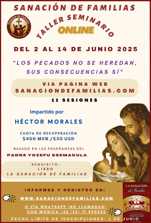 Taller Seminario de SDF del 2 al 14 de junio de 2025.
