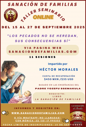 Taller Seminario de SDF del 15 al 27 de septiembre de 2025.
