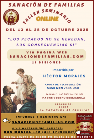 Taller Seminario de SDF del 13 al 25 de octubre de 2025.