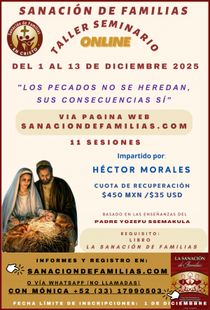 Taller Seminario de SDF del 1 al 13 de Diciembre de 2025.