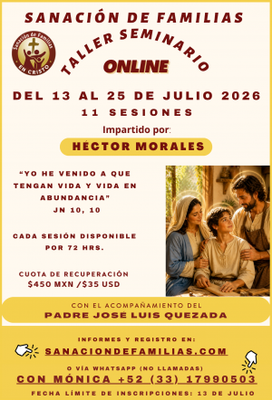 Taller Seminario de SDF del 13 al 25 de Julio de 2026.