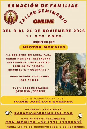 Taller Seminario de SDF del 9 al 21 de Noviembre de 2026.